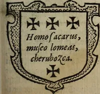An illustration from The discouerie of witchcraft, : wherein the lewde dealing of witches and witchmongers is notablie detected, the knauerie of coniurors, the impietie of inchantors, the follie of soothsaiers, the impudent falshood of cousenors, the infidelitie of atheists, the pestilent practices of Pythonists, the curiositie of figure casters, the vanitie of dreamers, the beggerlie art of alcumystrie, the abhomination of idolatrie, the horrible art of poisoning, the vertue and power of naturall magike, and all the conueiances of legierdemaine and iuggling are deciphered: and many other things opened, which have long lien hidden, howbeit verie necessarie to be knowne. : Heerevnto is added a treatise vpon the nature and substance of spirits and diuels, & c (1584)