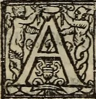 An illustration from The discouerie of witchcraft, : wherein the lewde dealing of witches and witchmongers is notablie detected, the knauerie of coniurors, the impietie of inchantors, the follie of soothsaiers, the impudent falshood of cousenors, the infidelitie of atheists, the pestilent practices of Pythonists, the curiositie of figure casters, the vanitie of dreamers, the beggerlie art of alcumystrie, the abhomination of idolatrie, the horrible art of poisoning, the vertue and power of naturall magike, and all the conueiances of legierdemaine and iuggling are deciphered: and many other things opened, which have long lien hidden, howbeit verie necessarie to be knowne. : Heerevnto is added a treatise vpon the nature and substance of spirits and diuels, & c (1584)