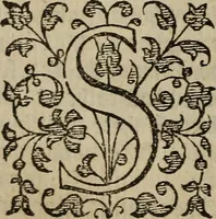 An illustration from The discouerie of witchcraft, : wherein the lewde dealing of witches and witchmongers is notablie detected, the knauerie of coniurors, the impietie of inchantors, the follie of soothsaiers, the impudent falshood of cousenors, the infidelitie of atheists, the pestilent practices of Pythonists, the curiositie of figure casters, the vanitie of dreamers, the beggerlie art of alcumystrie, the abhomination of idolatrie, the horrible art of poisoning, the vertue and power of naturall magike, and all the conueiances of legierdemaine and iuggling are deciphered: and many other things opened, which have long lien hidden, howbeit verie necessarie to be knowne. : Heerevnto is added a treatise vpon the nature and substance of spirits and diuels, & c (1584)