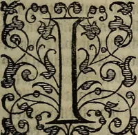 Picture 201 of 248 from The discouerie of witchcraft, : wherein the lewde dealing of witches and witchmongers is notablie detected, the knauerie of coniurors, the impietie of inchantors, the follie of soothsaiers, the impudent falshood of cousenors, the infidelitie of atheists, the pestilent practices of Pythonists, the curiositie of figure casters, the vanitie of dreamers, the beggerlie art of alcumystrie, the abhomination of idolatrie, the horrible art of poisoning, the vertue and power of naturall magike, and all the conueiances of legierdemaine and iuggling are deciphered: and many other things opened, which have long lien hidden, howbeit verie necessarie to be knowne. : Heerevnto is added a treatise vpon the nature and substance of spirits and diuels, & c (1584), leaf 472
