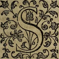 Picture 202 of 248 from The discouerie of witchcraft, : wherein the lewde dealing of witches and witchmongers is notablie detected, the knauerie of coniurors, the impietie of inchantors, the follie of soothsaiers, the impudent falshood of cousenors, the infidelitie of atheists, the pestilent practices of Pythonists, the curiositie of figure casters, the vanitie of dreamers, the beggerlie art of alcumystrie, the abhomination of idolatrie, the horrible art of poisoning, the vertue and power of naturall magike, and all the conueiances of legierdemaine and iuggling are deciphered: and many other things opened, which have long lien hidden, howbeit verie necessarie to be knowne. : Heerevnto is added a treatise vpon the nature and substance of spirits and diuels, & c (1584), leaf 480