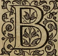 Picture 203 of 248 from The discouerie of witchcraft, : wherein the lewde dealing of witches and witchmongers is notablie detected, the knauerie of coniurors, the impietie of inchantors, the follie of soothsaiers, the impudent falshood of cousenors, the infidelitie of atheists, the pestilent practices of Pythonists, the curiositie of figure casters, the vanitie of dreamers, the beggerlie art of alcumystrie, the abhomination of idolatrie, the horrible art of poisoning, the vertue and power of naturall magike, and all the conueiances of legierdemaine and iuggling are deciphered: and many other things opened, which have long lien hidden, howbeit verie necessarie to be knowne. : Heerevnto is added a treatise vpon the nature and substance of spirits and diuels, & c (1584), leaf 481