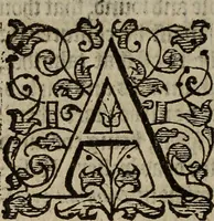 Picture 204 of 248 from The discouerie of witchcraft, : wherein the lewde dealing of witches and witchmongers is notablie detected, the knauerie of coniurors, the impietie of inchantors, the follie of soothsaiers, the impudent falshood of cousenors, the infidelitie of atheists, the pestilent practices of Pythonists, the curiositie of figure casters, the vanitie of dreamers, the beggerlie art of alcumystrie, the abhomination of idolatrie, the horrible art of poisoning, the vertue and power of naturall magike, and all the conueiances of legierdemaine and iuggling are deciphered: and many other things opened, which have long lien hidden, howbeit verie necessarie to be knowne. : Heerevnto is added a treatise vpon the nature and substance of spirits and diuels, & c (1584), leaf 483