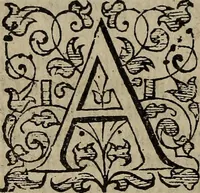 Picture 205 of 248 from The discouerie of witchcraft, : wherein the lewde dealing of witches and witchmongers is notablie detected, the knauerie of coniurors, the impietie of inchantors, the follie of soothsaiers, the impudent falshood of cousenors, the infidelitie of atheists, the pestilent practices of Pythonists, the curiositie of figure casters, the vanitie of dreamers, the beggerlie art of alcumystrie, the abhomination of idolatrie, the horrible art of poisoning, the vertue and power of naturall magike, and all the conueiances of legierdemaine and iuggling are deciphered: and many other things opened, which have long lien hidden, howbeit verie necessarie to be knowne. : Heerevnto is added a treatise vpon the nature and substance of spirits and diuels, & c (1584), leaf 487
