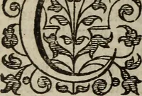 An illustration from The discouerie of witchcraft, : wherein the lewde dealing of witches and witchmongers is notablie detected, the knauerie of coniurors, the impietie of inchantors, the follie of soothsaiers, the impudent falshood of cousenors, the infidelitie of atheists, the pestilent practices of Pythonists, the curiositie of figure casters, the vanitie of dreamers, the beggerlie art of alcumystrie, the abhomination of idolatrie, the horrible art of poisoning, the vertue and power of naturall magike, and all the conueiances of legierdemaine and iuggling are deciphered: and many other things opened, which have long lien hidden, howbeit verie necessarie to be knowne. : Heerevnto is added a treatise vpon the nature and substance of spirits and diuels, & c (1584)