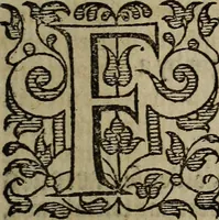 Picture 207 of 248 from The discouerie of witchcraft, : wherein the lewde dealing of witches and witchmongers is notablie detected, the knauerie of coniurors, the impietie of inchantors, the follie of soothsaiers, the impudent falshood of cousenors, the infidelitie of atheists, the pestilent practices of Pythonists, the curiositie of figure casters, the vanitie of dreamers, the beggerlie art of alcumystrie, the abhomination of idolatrie, the horrible art of poisoning, the vertue and power of naturall magike, and all the conueiances of legierdemaine and iuggling are deciphered: and many other things opened, which have long lien hidden, howbeit verie necessarie to be knowne. : Heerevnto is added a treatise vpon the nature and substance of spirits and diuels, & c (1584), leaf 496