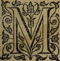 An illustration from The discouerie of witchcraft, : wherein the lewde dealing of witches and witchmongers is notablie detected, the knauerie of coniurors, the impietie of inchantors, the follie of soothsaiers, the impudent falshood of cousenors, the infidelitie of atheists, the pestilent practices of Pythonists, the curiositie of figure casters, the vanitie of dreamers, the beggerlie art of alcumystrie, the abhomination of idolatrie, the horrible art of poisoning, the vertue and power of naturall magike, and all the conueiances of legierdemaine and iuggling are deciphered: and many other things opened, which have long lien hidden, howbeit verie necessarie to be knowne. : Heerevnto is added a treatise vpon the nature and substance of spirits and diuels, & c (1584)