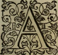Picture 14 of 248 from The discouerie of witchcraft, : wherein the lewde dealing of witches and witchmongers is notablie detected, the knauerie of coniurors, the impietie of inchantors, the follie of soothsaiers, the impudent falshood of cousenors, the infidelitie of atheists, the pestilent practices of Pythonists, the curiositie of figure casters, the vanitie of dreamers, the beggerlie art of alcumystrie, the abhomination of idolatrie, the horrible art of poisoning, the vertue and power of naturall magike, and all the conueiances of legierdemaine and iuggling are deciphered: and many other things opened, which have long lien hidden, howbeit verie necessarie to be knowne. : Heerevnto is added a treatise vpon the nature and substance of spirits and diuels, & c (1584), leaf 50