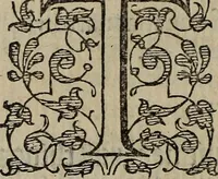 Picture 210 of 248 from The discouerie of witchcraft, : wherein the lewde dealing of witches and witchmongers is notablie detected, the knauerie of coniurors, the impietie of inchantors, the follie of soothsaiers, the impudent falshood of cousenors, the infidelitie of atheists, the pestilent practices of Pythonists, the curiositie of figure casters, the vanitie of dreamers, the beggerlie art of alcumystrie, the abhomination of idolatrie, the horrible art of poisoning, the vertue and power of naturall magike, and all the conueiances of legierdemaine and iuggling are deciphered: and many other things opened, which have long lien hidden, howbeit verie necessarie to be knowne. : Heerevnto is added a treatise vpon the nature and substance of spirits and diuels, & c (1584), leaf 503