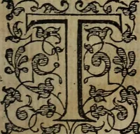 Picture 213 of 248 from The discouerie of witchcraft, : wherein the lewde dealing of witches and witchmongers is notablie detected, the knauerie of coniurors, the impietie of inchantors, the follie of soothsaiers, the impudent falshood of cousenors, the infidelitie of atheists, the pestilent practices of Pythonists, the curiositie of figure casters, the vanitie of dreamers, the beggerlie art of alcumystrie, the abhomination of idolatrie, the horrible art of poisoning, the vertue and power of naturall magike, and all the conueiances of legierdemaine and iuggling are deciphered: and many other things opened, which have long lien hidden, howbeit verie necessarie to be knowne. : Heerevnto is added a treatise vpon the nature and substance of spirits and diuels, & c (1584), leaf 508
