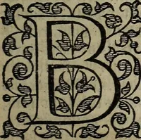 Picture 215 of 248 from The discouerie of witchcraft, : wherein the lewde dealing of witches and witchmongers is notablie detected, the knauerie of coniurors, the impietie of inchantors, the follie of soothsaiers, the impudent falshood of cousenors, the infidelitie of atheists, the pestilent practices of Pythonists, the curiositie of figure casters, the vanitie of dreamers, the beggerlie art of alcumystrie, the abhomination of idolatrie, the horrible art of poisoning, the vertue and power of naturall magike, and all the conueiances of legierdemaine and iuggling are deciphered: and many other things opened, which have long lien hidden, howbeit verie necessarie to be knowne. : Heerevnto is added a treatise vpon the nature and substance of spirits and diuels, & c (1584), leaf 520