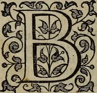 Picture 216 of 248 from The discouerie of witchcraft, : wherein the lewde dealing of witches and witchmongers is notablie detected, the knauerie of coniurors, the impietie of inchantors, the follie of soothsaiers, the impudent falshood of cousenors, the infidelitie of atheists, the pestilent practices of Pythonists, the curiositie of figure casters, the vanitie of dreamers, the beggerlie art of alcumystrie, the abhomination of idolatrie, the horrible art of poisoning, the vertue and power of naturall magike, and all the conueiances of legierdemaine and iuggling are deciphered: and many other things opened, which have long lien hidden, howbeit verie necessarie to be knowne. : Heerevnto is added a treatise vpon the nature and substance of spirits and diuels, & c (1584), leaf 521