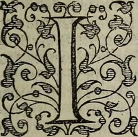 Picture 220 of 248 from The discouerie of witchcraft, : wherein the lewde dealing of witches and witchmongers is notablie detected, the knauerie of coniurors, the impietie of inchantors, the follie of soothsaiers, the impudent falshood of cousenors, the infidelitie of atheists, the pestilent practices of Pythonists, the curiositie of figure casters, the vanitie of dreamers, the beggerlie art of alcumystrie, the abhomination of idolatrie, the horrible art of poisoning, the vertue and power of naturall magike, and all the conueiances of legierdemaine and iuggling are deciphered: and many other things opened, which have long lien hidden, howbeit verie necessarie to be knowne. : Heerevnto is added a treatise vpon the nature and substance of spirits and diuels, & c (1584), leaf 528