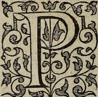 An illustration from The discouerie of witchcraft, : wherein the lewde dealing of witches and witchmongers is notablie detected, the knauerie of coniurors, the impietie of inchantors, the follie of soothsaiers, the impudent falshood of cousenors, the infidelitie of atheists, the pestilent practices of Pythonists, the curiositie of figure casters, the vanitie of dreamers, the beggerlie art of alcumystrie, the abhomination of idolatrie, the horrible art of poisoning, the vertue and power of naturall magike, and all the conueiances of legierdemaine and iuggling are deciphered: and many other things opened, which have long lien hidden, howbeit verie necessarie to be knowne. : Heerevnto is added a treatise vpon the nature and substance of spirits and diuels, & c (1584)