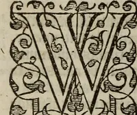 Picture 16 of 248 from The discouerie of witchcraft, : wherein the lewde dealing of witches and witchmongers is notablie detected, the knauerie of coniurors, the impietie of inchantors, the follie of soothsaiers, the impudent falshood of cousenors, the infidelitie of atheists, the pestilent practices of Pythonists, the curiositie of figure casters, the vanitie of dreamers, the beggerlie art of alcumystrie, the abhomination of idolatrie, the horrible art of poisoning, the vertue and power of naturall magike, and all the conueiances of legierdemaine and iuggling are deciphered: and many other things opened, which have long lien hidden, howbeit verie necessarie to be knowne. : Heerevnto is added a treatise vpon the nature and substance of spirits and diuels, & c (1584), leaf 53