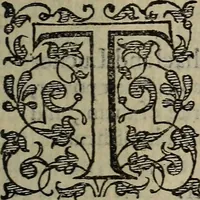 Picture 225 of 248 from The discouerie of witchcraft, : wherein the lewde dealing of witches and witchmongers is notablie detected, the knauerie of coniurors, the impietie of inchantors, the follie of soothsaiers, the impudent falshood of cousenors, the infidelitie of atheists, the pestilent practices of Pythonists, the curiositie of figure casters, the vanitie of dreamers, the beggerlie art of alcumystrie, the abhomination of idolatrie, the horrible art of poisoning, the vertue and power of naturall magike, and all the conueiances of legierdemaine and iuggling are deciphered: and many other things opened, which have long lien hidden, howbeit verie necessarie to be knowne. : Heerevnto is added a treatise vpon the nature and substance of spirits and diuels, & c (1584), leaf 540