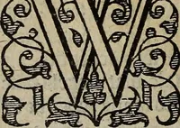Picture 227 of 248 from The discouerie of witchcraft, : wherein the lewde dealing of witches and witchmongers is notablie detected, the knauerie of coniurors, the impietie of inchantors, the follie of soothsaiers, the impudent falshood of cousenors, the infidelitie of atheists, the pestilent practices of Pythonists, the curiositie of figure casters, the vanitie of dreamers, the beggerlie art of alcumystrie, the abhomination of idolatrie, the horrible art of poisoning, the vertue and power of naturall magike, and all the conueiances of legierdemaine and iuggling are deciphered: and many other things opened, which have long lien hidden, howbeit verie necessarie to be knowne. : Heerevnto is added a treatise vpon the nature and substance of spirits and diuels, & c (1584), leaf 543