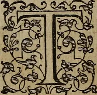 Picture 232 of 248 from The discouerie of witchcraft, : wherein the lewde dealing of witches and witchmongers is notablie detected, the knauerie of coniurors, the impietie of inchantors, the follie of soothsaiers, the impudent falshood of cousenors, the infidelitie of atheists, the pestilent practices of Pythonists, the curiositie of figure casters, the vanitie of dreamers, the beggerlie art of alcumystrie, the abhomination of idolatrie, the horrible art of poisoning, the vertue and power of naturall magike, and all the conueiances of legierdemaine and iuggling are deciphered: and many other things opened, which have long lien hidden, howbeit verie necessarie to be knowne. : Heerevnto is added a treatise vpon the nature and substance of spirits and diuels, & c (1584), leaf 551