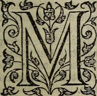 Picture 234 of 248 from The discouerie of witchcraft, : wherein the lewde dealing of witches and witchmongers is notablie detected, the knauerie of coniurors, the impietie of inchantors, the follie of soothsaiers, the impudent falshood of cousenors, the infidelitie of atheists, the pestilent practices of Pythonists, the curiositie of figure casters, the vanitie of dreamers, the beggerlie art of alcumystrie, the abhomination of idolatrie, the horrible art of poisoning, the vertue and power of naturall magike, and all the conueiances of legierdemaine and iuggling are deciphered: and many other things opened, which have long lien hidden, howbeit verie necessarie to be knowne. : Heerevnto is added a treatise vpon the nature and substance of spirits and diuels, & c (1584), leaf 554