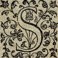 An illustration from The discouerie of witchcraft, : wherein the lewde dealing of witches and witchmongers is notablie detected, the knauerie of coniurors, the impietie of inchantors, the follie of soothsaiers, the impudent falshood of cousenors, the infidelitie of atheists, the pestilent practices of Pythonists, the curiositie of figure casters, the vanitie of dreamers, the beggerlie art of alcumystrie, the abhomination of idolatrie, the horrible art of poisoning, the vertue and power of naturall magike, and all the conueiances of legierdemaine and iuggling are deciphered: and many other things opened, which have long lien hidden, howbeit verie necessarie to be knowne. : Heerevnto is added a treatise vpon the nature and substance of spirits and diuels, & c (1584)