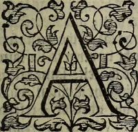 Picture 236 of 248 from The discouerie of witchcraft, : wherein the lewde dealing of witches and witchmongers is notablie detected, the knauerie of coniurors, the impietie of inchantors, the follie of soothsaiers, the impudent falshood of cousenors, the infidelitie of atheists, the pestilent practices of Pythonists, the curiositie of figure casters, the vanitie of dreamers, the beggerlie art of alcumystrie, the abhomination of idolatrie, the horrible art of poisoning, the vertue and power of naturall magike, and all the conueiances of legierdemaine and iuggling are deciphered: and many other things opened, which have long lien hidden, howbeit verie necessarie to be knowne. : Heerevnto is added a treatise vpon the nature and substance of spirits and diuels, & c (1584), leaf 558