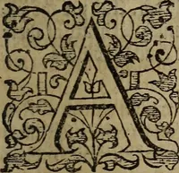 An illustration from The discouerie of witchcraft, : wherein the lewde dealing of witches and witchmongers is notablie detected, the knauerie of coniurors, the impietie of inchantors, the follie of soothsaiers, the impudent falshood of cousenors, the infidelitie of atheists, the pestilent practices of Pythonists, the curiositie of figure casters, the vanitie of dreamers, the beggerlie art of alcumystrie, the abhomination of idolatrie, the horrible art of poisoning, the vertue and power of naturall magike, and all the conueiances of legierdemaine and iuggling are deciphered: and many other things opened, which have long lien hidden, howbeit verie necessarie to be knowne. : Heerevnto is added a treatise vpon the nature and substance of spirits and diuels, & c (1584)
