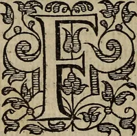 Picture 241 of 248 from The discouerie of witchcraft, : wherein the lewde dealing of witches and witchmongers is notablie detected, the knauerie of coniurors, the impietie of inchantors, the follie of soothsaiers, the impudent falshood of cousenors, the infidelitie of atheists, the pestilent practices of Pythonists, the curiositie of figure casters, the vanitie of dreamers, the beggerlie art of alcumystrie, the abhomination of idolatrie, the horrible art of poisoning, the vertue and power of naturall magike, and all the conueiances of legierdemaine and iuggling are deciphered: and many other things opened, which have long lien hidden, howbeit verie necessarie to be knowne. : Heerevnto is added a treatise vpon the nature and substance of spirits and diuels, & c (1584), leaf 571