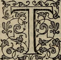 Picture 242 of 248 from The discouerie of witchcraft, : wherein the lewde dealing of witches and witchmongers is notablie detected, the knauerie of coniurors, the impietie of inchantors, the follie of soothsaiers, the impudent falshood of cousenors, the infidelitie of atheists, the pestilent practices of Pythonists, the curiositie of figure casters, the vanitie of dreamers, the beggerlie art of alcumystrie, the abhomination of idolatrie, the horrible art of poisoning, the vertue and power of naturall magike, and all the conueiances of legierdemaine and iuggling are deciphered: and many other things opened, which have long lien hidden, howbeit verie necessarie to be knowne. : Heerevnto is added a treatise vpon the nature and substance of spirits and diuels, & c (1584), leaf 573