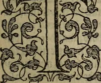 An illustration from The discouerie of witchcraft, : wherein the lewde dealing of witches and witchmongers is notablie detected, the knauerie of coniurors, the impietie of inchantors, the follie of soothsaiers, the impudent falshood of cousenors, the infidelitie of atheists, the pestilent practices of Pythonists, the curiositie of figure casters, the vanitie of dreamers, the beggerlie art of alcumystrie, the abhomination of idolatrie, the horrible art of poisoning, the vertue and power of naturall magike, and all the conueiances of legierdemaine and iuggling are deciphered: and many other things opened, which have long lien hidden, howbeit verie necessarie to be knowne. : Heerevnto is added a treatise vpon the nature and substance of spirits and diuels, & c (1584)