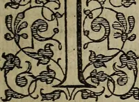 Picture 244 of 248 from The discouerie of witchcraft, : wherein the lewde dealing of witches and witchmongers is notablie detected, the knauerie of coniurors, the impietie of inchantors, the follie of soothsaiers, the impudent falshood of cousenors, the infidelitie of atheists, the pestilent practices of Pythonists, the curiositie of figure casters, the vanitie of dreamers, the beggerlie art of alcumystrie, the abhomination of idolatrie, the horrible art of poisoning, the vertue and power of naturall magike, and all the conueiances of legierdemaine and iuggling are deciphered: and many other things opened, which have long lien hidden, howbeit verie necessarie to be knowne. : Heerevnto is added a treatise vpon the nature and substance of spirits and diuels, & c (1584), leaf 576