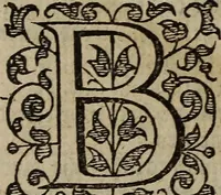 An illustration from The discouerie of witchcraft, : wherein the lewde dealing of witches and witchmongers is notablie detected, the knauerie of coniurors, the impietie of inchantors, the follie of soothsaiers, the impudent falshood of cousenors, the infidelitie of atheists, the pestilent practices of Pythonists, the curiositie of figure casters, the vanitie of dreamers, the beggerlie art of alcumystrie, the abhomination of idolatrie, the horrible art of poisoning, the vertue and power of naturall magike, and all the conueiances of legierdemaine and iuggling are deciphered: and many other things opened, which have long lien hidden, howbeit verie necessarie to be knowne. : Heerevnto is added a treatise vpon the nature and substance of spirits and diuels, & c (1584)