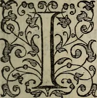 Picture 19 of 248 from The discouerie of witchcraft, : wherein the lewde dealing of witches and witchmongers is notablie detected, the knauerie of coniurors, the impietie of inchantors, the follie of soothsaiers, the impudent falshood of cousenors, the infidelitie of atheists, the pestilent practices of Pythonists, the curiositie of figure casters, the vanitie of dreamers, the beggerlie art of alcumystrie, the abhomination of idolatrie, the horrible art of poisoning, the vertue and power of naturall magike, and all the conueiances of legierdemaine and iuggling are deciphered: and many other things opened, which have long lien hidden, howbeit verie necessarie to be knowne. : Heerevnto is added a treatise vpon the nature and substance of spirits and diuels, & c (1584), leaf 58