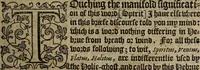Picture 247 of 248 from The discouerie of witchcraft, : wherein the lewde dealing of witches and witchmongers is notablie detected, the knauerie of coniurors, the impietie of inchantors, the follie of soothsaiers, the impudent falshood of cousenors, the infidelitie of atheists, the pestilent practices of Pythonists, the curiositie of figure casters, the vanitie of dreamers, the beggerlie art of alcumystrie, the abhomination of idolatrie, the horrible art of poisoning, the vertue and power of naturall magike, and all the conueiances of legierdemaine and iuggling are deciphered: and many other things opened, which have long lien hidden, howbeit verie necessarie to be knowne. : Heerevnto is added a treatise vpon the nature and substance of spirits and diuels, & c (1584), leaf 580