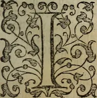 Picture 20 of 248 from The discouerie of witchcraft, : wherein the lewde dealing of witches and witchmongers is notablie detected, the knauerie of coniurors, the impietie of inchantors, the follie of soothsaiers, the impudent falshood of cousenors, the infidelitie of atheists, the pestilent practices of Pythonists, the curiositie of figure casters, the vanitie of dreamers, the beggerlie art of alcumystrie, the abhomination of idolatrie, the horrible art of poisoning, the vertue and power of naturall magike, and all the conueiances of legierdemaine and iuggling are deciphered: and many other things opened, which have long lien hidden, howbeit verie necessarie to be knowne. : Heerevnto is added a treatise vpon the nature and substance of spirits and diuels, & c (1584), leaf 60
