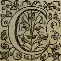 An illustration from The discouerie of witchcraft, : wherein the lewde dealing of witches and witchmongers is notablie detected, the knauerie of coniurors, the impietie of inchantors, the follie of soothsaiers, the impudent falshood of cousenors, the infidelitie of atheists, the pestilent practices of Pythonists, the curiositie of figure casters, the vanitie of dreamers, the beggerlie art of alcumystrie, the abhomination of idolatrie, the horrible art of poisoning, the vertue and power of naturall magike, and all the conueiances of legierdemaine and iuggling are deciphered: and many other things opened, which have long lien hidden, howbeit verie necessarie to be knowne. : Heerevnto is added a treatise vpon the nature and substance of spirits and diuels, & c (1584)