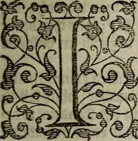 Picture 33 of 248 from The discouerie of witchcraft, : wherein the lewde dealing of witches and witchmongers is notablie detected, the knauerie of coniurors, the impietie of inchantors, the follie of soothsaiers, the impudent falshood of cousenors, the infidelitie of atheists, the pestilent practices of Pythonists, the curiositie of figure casters, the vanitie of dreamers, the beggerlie art of alcumystrie, the abhomination of idolatrie, the horrible art of poisoning, the vertue and power of naturall magike, and all the conueiances of legierdemaine and iuggling are deciphered: and many other things opened, which have long lien hidden, howbeit verie necessarie to be knowne. : Heerevnto is added a treatise vpon the nature and substance of spirits and diuels, & c (1584), leaf 82