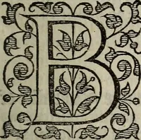 Picture 38 of 248 from The discouerie of witchcraft, : wherein the lewde dealing of witches and witchmongers is notablie detected, the knauerie of coniurors, the impietie of inchantors, the follie of soothsaiers, the impudent falshood of cousenors, the infidelitie of atheists, the pestilent practices of Pythonists, the curiositie of figure casters, the vanitie of dreamers, the beggerlie art of alcumystrie, the abhomination of idolatrie, the horrible art of poisoning, the vertue and power of naturall magike, and all the conueiances of legierdemaine and iuggling are deciphered: and many other things opened, which have long lien hidden, howbeit verie necessarie to be knowne. : Heerevnto is added a treatise vpon the nature and substance of spirits and diuels, & c (1584), leaf 92