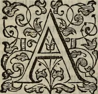 Picture 39 of 248 from The discouerie of witchcraft, : wherein the lewde dealing of witches and witchmongers is notablie detected, the knauerie of coniurors, the impietie of inchantors, the follie of soothsaiers, the impudent falshood of cousenors, the infidelitie of atheists, the pestilent practices of Pythonists, the curiositie of figure casters, the vanitie of dreamers, the beggerlie art of alcumystrie, the abhomination of idolatrie, the horrible art of poisoning, the vertue and power of naturall magike, and all the conueiances of legierdemaine and iuggling are deciphered: and many other things opened, which have long lien hidden, howbeit verie necessarie to be knowne. : Heerevnto is added a treatise vpon the nature and substance of spirits and diuels, & c (1584), leaf 93