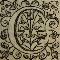 An illustration from The discouerie of witchcraft, : wherein the lewde dealing of witches and witchmongers is notablie detected, the knauerie of coniurors, the impietie of inchantors, the follie of soothsaiers, the impudent falshood of cousenors, the infidelitie of atheists, the pestilent practices of Pythonists, the curiositie of figure casters, the vanitie of dreamers, the beggerlie art of alcumystrie, the abhomination of idolatrie, the horrible art of poisoning, the vertue and power of naturall magike, and all the conueiances of legierdemaine and iuggling are deciphered: and many other things opened, which have long lien hidden, howbeit verie necessarie to be knowne. : Heerevnto is added a treatise vpon the nature and substance of spirits and diuels, & c (1584)