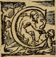 An illustration from Discours de la maladie et mort de monseigneur l'Illustrissime Prince, Charles, Cardinal de Bourbon: Auec le rapport des Médecins & Chirurgiens. (1594)