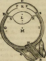 An illustration from Discours de la methode : pour bien conduire sa raison, & chercher la verité dans les sciences : Plus La dioptrique, et Les meteores. Qui sont des essais de cette methode. (1667)
