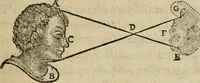 An illustration from Discours de la methode : pour bien conduire sa raison, & chercher la verité dans les sciences : Plus La dioptrique, et Les meteores. Qui sont des essais de cette methode. (1667)