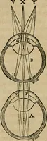 An illustration from Discours de la methode : pour bien conduire sa raison, & chercher la verité dans les sciences : Plus La dioptrique, et Les meteores. Qui sont des essais de cette methode. (1667)