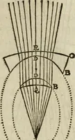 An illustration from Discours de la methode : pour bien conduire sa raison, & chercher la verité dans les sciences : Plus La dioptrique, et Les meteores. Qui sont des essais de cette methode. (1667)