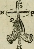An illustration from Discours de la methode : pour bien conduire sa raison, & chercher la verité dans les sciences : Plus La dioptrique, et Les meteores. Qui sont des essais de cette methode. (1667)