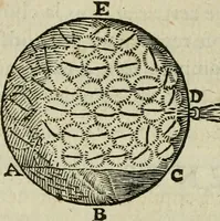 An illustration from Discours de la methode : pour bien conduire sa raison, & chercher la verité dans les sciences : Plus La dioptrique, et Les meteores. Qui sont des essais de cette methode. (1667)