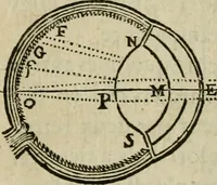 An illustration from Discours de la methode : pour bien conduire sa raison, & chercher la verité dans les sciences : Plus La dioptrique, et Les meteores. Qui sont des essais de cette methode. (1667)