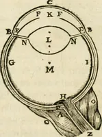 An illustration from Discours de la methode : pour bien conduire sa raison, & chercher la verité dans les sciences : Plus La dioptrique, et Les meteores. Qui sont des essais de cete methode (1658)