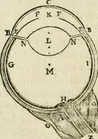 An illustration from Discours de la methode : pour bien conduire sa raison, & chercher la verité dans les sciences : Plus La dioptrique, et Les meteores. Qui sont des essais de cete methode (1658)