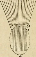 An illustration from Discours de la methode : pour bien conduire sa raison, & chercher la verité dans les sciences : Plus La dioptrique, et Les meteores. Qui sont des essais de cete methode (1658)